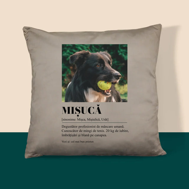 Fotografie Si Semnătură: Cățeluș Definiția - Pernă (Cu Fotografie)