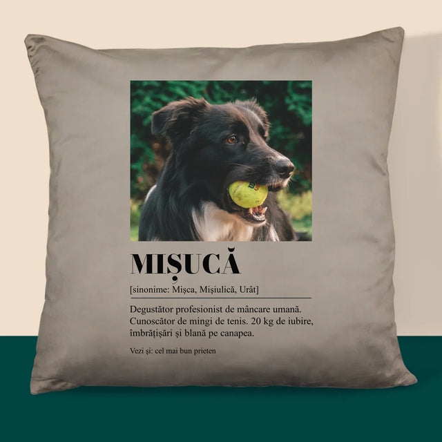 Fotografie Si Semnătură: Cățeluș Definiția - Pernă (Cu Fotografie)