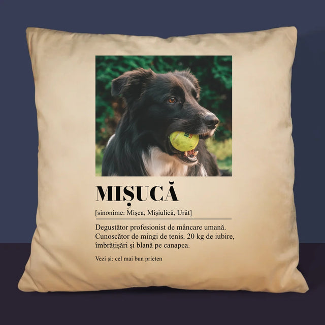 Fotografie Si Semnătură: Cățeluș Definiția - Pernă (Cu Fotografie)