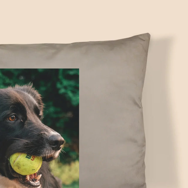 Fotografie Si Semnătură: Cățeluș Definiția - Pernă (Cu Fotografie)