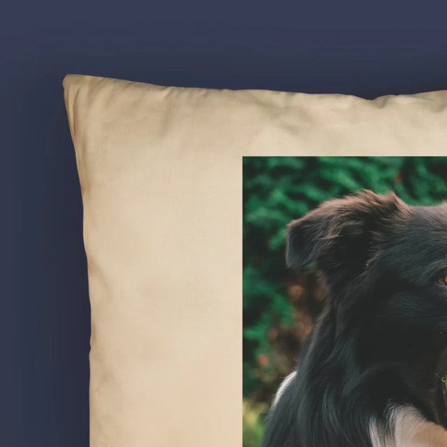 Fotografie Si Semnătură: Cățeluș Definiția - Pernă (Cu Fotografie)