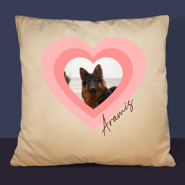 Fotografie Si Semnătură: Fotografia Cățelușului În Inimă - Pernă (Cu Fotografie)