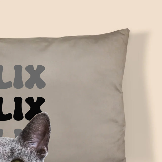 Personajul Tău: Fotografia Pisicului Cu Nume - Pernă (Cu Fotografie)