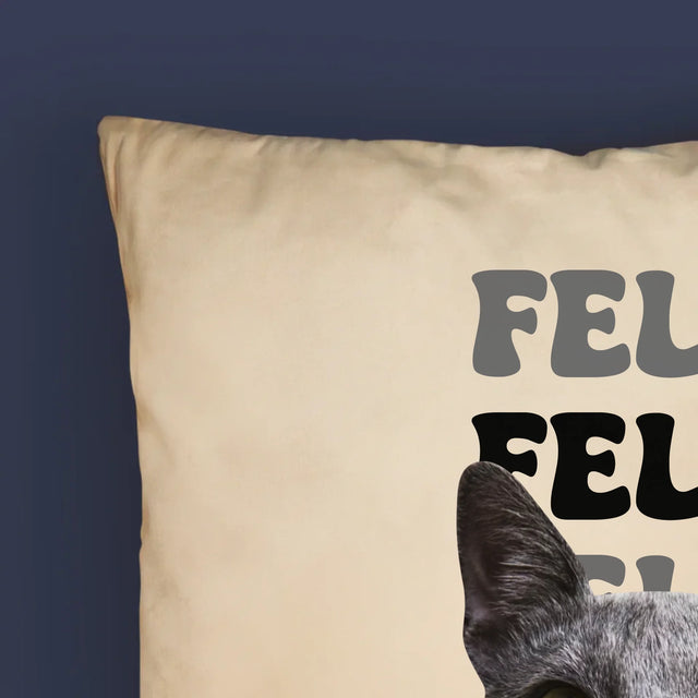 Personajul Tău: Fotografia Pisicului Cu Nume - Pernă (Cu Fotografie)