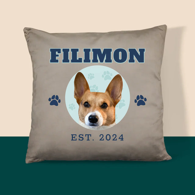 Personajul Tău: Câinele Tău Varsity - Pernă (Cu Fotografie)