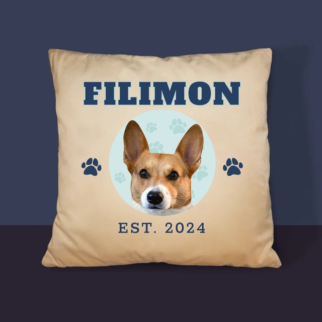 Personajul Tău: Câinele Tău Varsity - Pernă (Cu Fotografie)