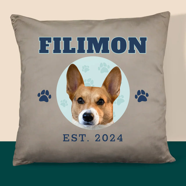 Personajul Tău: Câinele Tău Varsity - Pernă (Cu Fotografie)