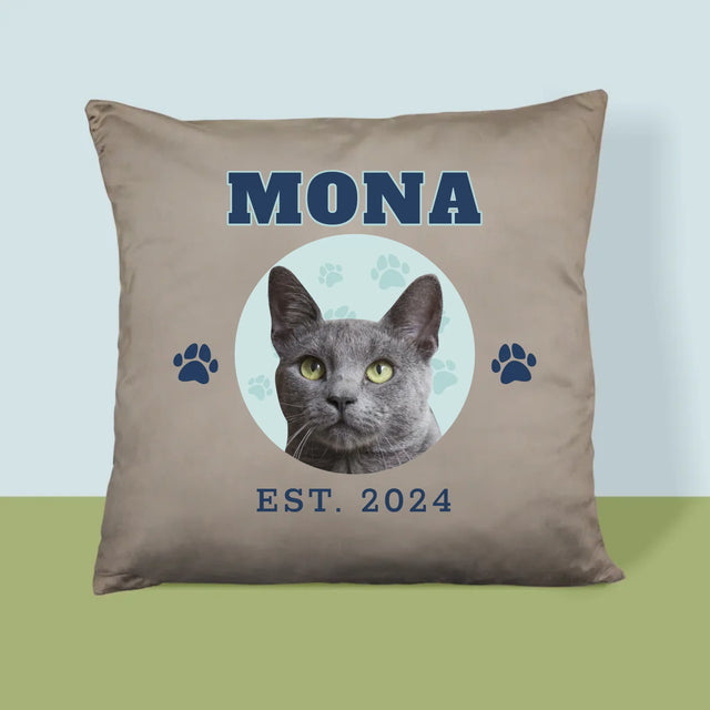 Personajul Tău: Mâțul Tău Varsity - Pernă (Cu Fotografie)