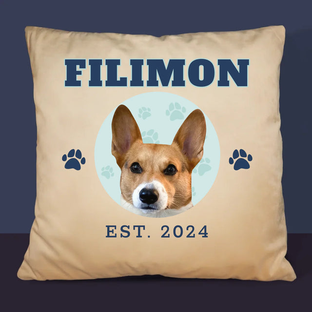 Personajul Tău: Câinele Tău Varsity - Pernă (Cu Fotografie)