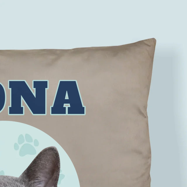 Personajul Tău: Mâțul Tău Varsity - Pernă (Cu Fotografie)