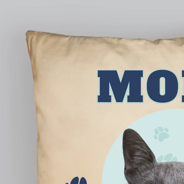 Personajul Tău: Mâțul Tău Varsity - Pernă (Cu Fotografie)