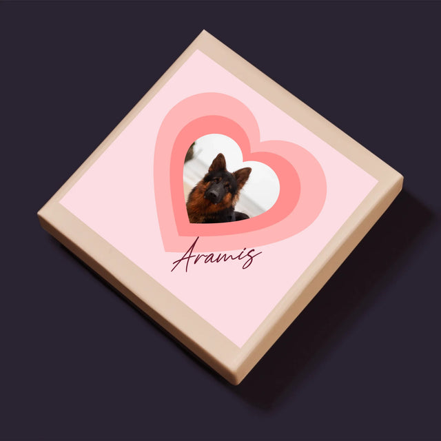 Fotografie Si Semnătură: Fotografia Cățelușului În Inimă - Puzzle