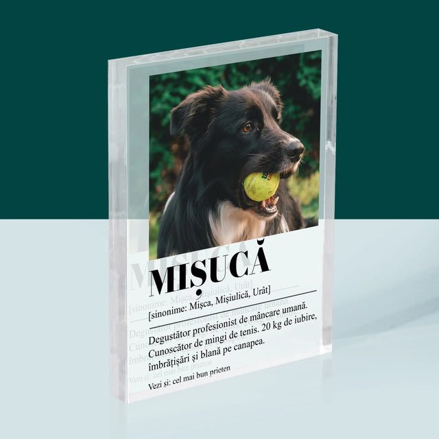 Fotografie Si Semnătură: Cățeluș Definiția - Bloc Acrilic