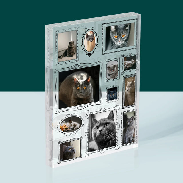 Colaj De Fotografii: Perete Galereia Cu Pisic - Bloc Acrilic