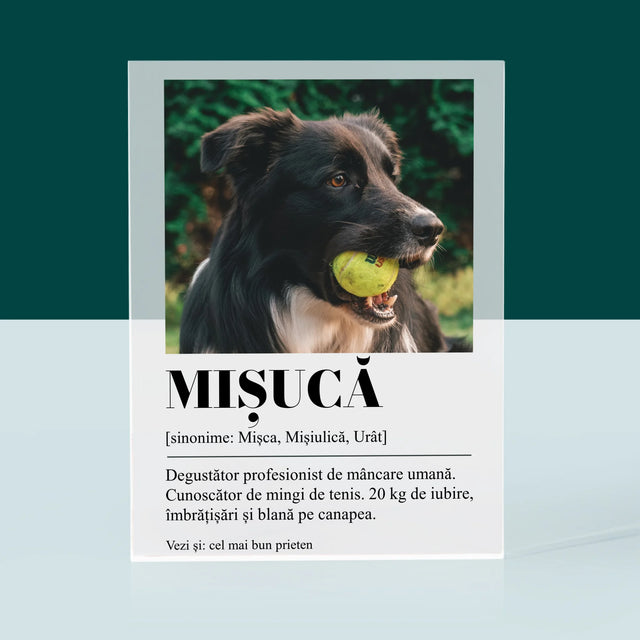 Fotografie Si Semnătură: Cățeluș Definiția - Bloc Acrilic