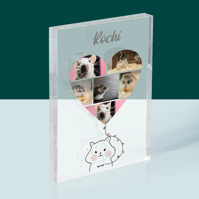 Colaj De Fotografii: Hamster - Bloc Acrilic