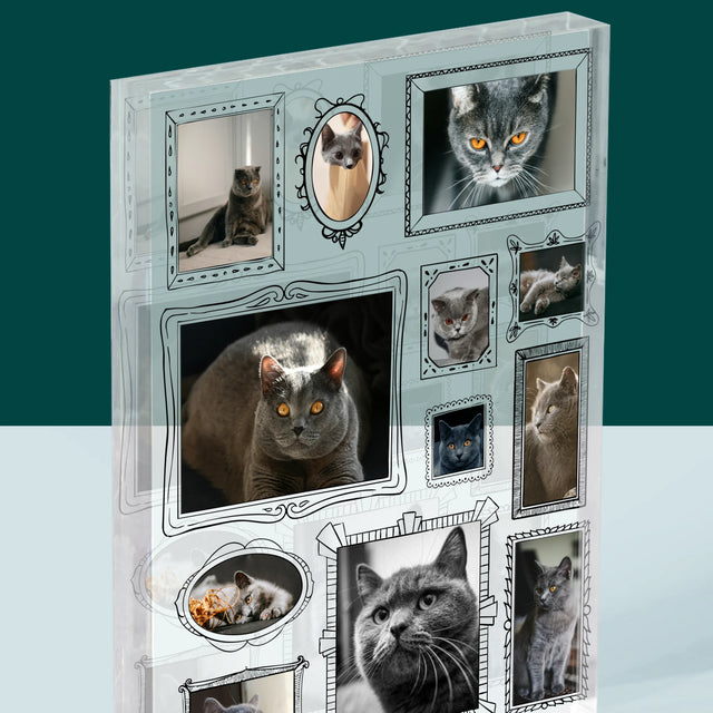 Colaj De Fotografii: Perete Galereia Cu Pisic - Bloc Acrilic