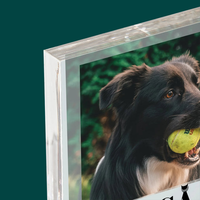 Fotografie Si Semnătură: Cățeluș Definiția - Bloc Acrilic