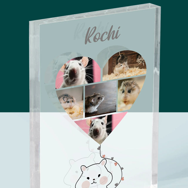 Colaj De Fotografii: Hamster - Bloc Acrilic