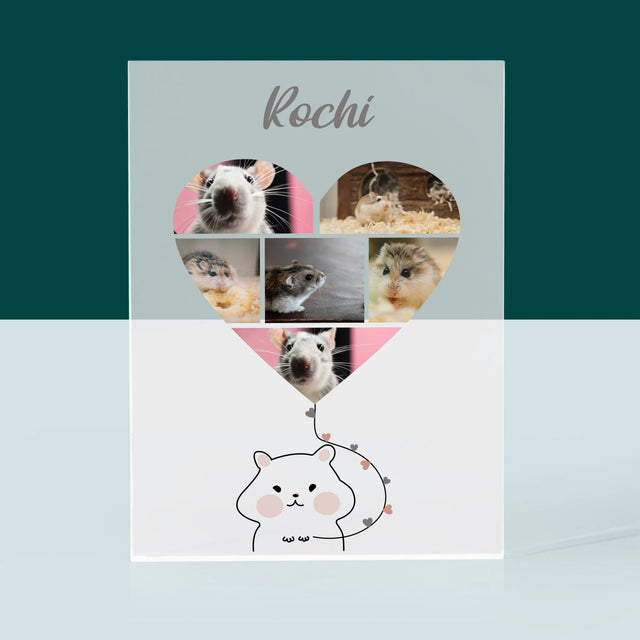 Colaj De Fotografii: Hamster - Bloc Acrilic