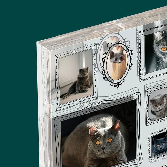 Colaj De Fotografii: Perete Galereia Cu Pisic - Bloc Acrilic