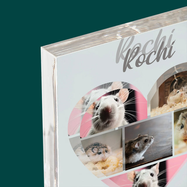 Colaj De Fotografii: Hamster - Bloc Acrilic