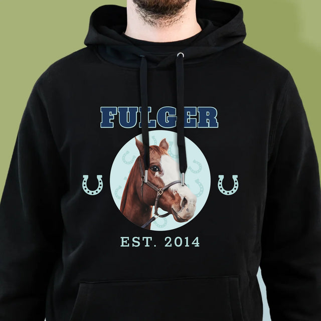 Personajul Tău: Calul Tău Varsity - Hanorac Cu Glugă Pentru Bărbați