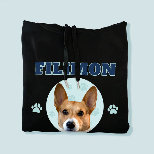 Personajul Tău: Câinele Tău Varsity - Hanorac Cu Glugă Pentru Bărbați