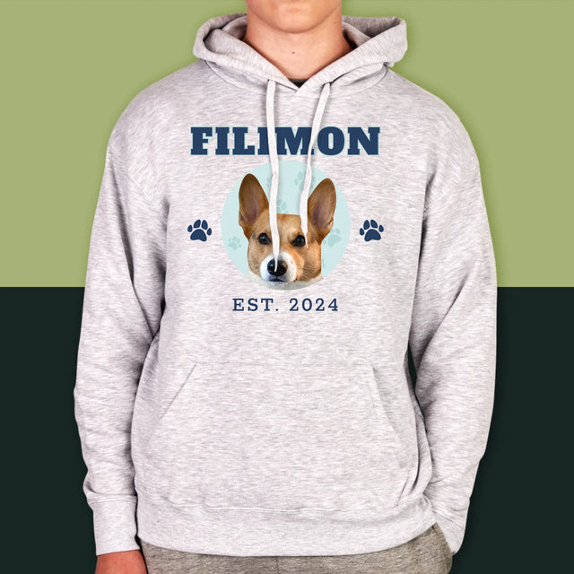 Personajul Tău: Câinele Tău Varsity - Hanorac Cu Glugă Pentru Bărbați