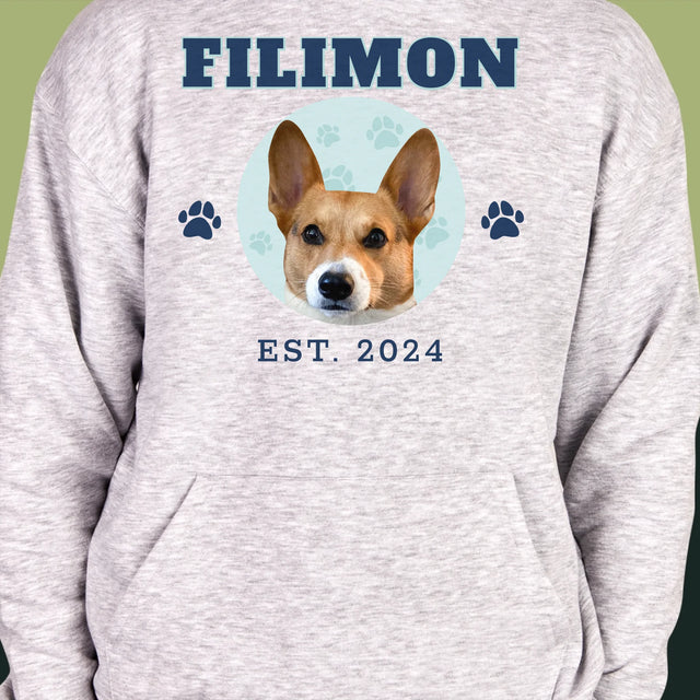 Personajul Tău: Câinele Tău Varsity - Hanorac Cu Glugă Pentru Bărbați