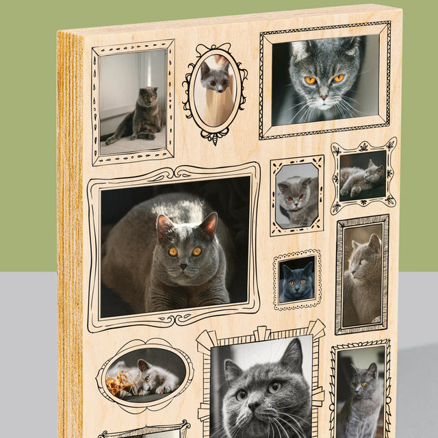 Colaj De Fotografii: Perete Galereia Cu Pisic - Imprimare Pe Lemn ( Verticală)