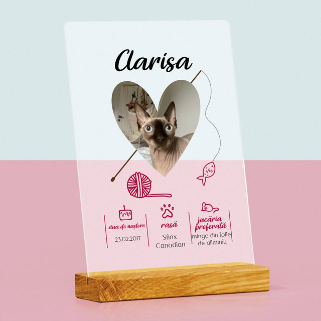 Fotografie Si Semnătură: Mâț Certificat De Naștere - Imprimare Pe Sticlă Acrilică (Verticală)