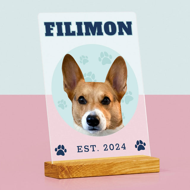 Personajul Tău: Câinele Tău Varsity - Imprimare Pe Sticlă Acrilică (Verticală)