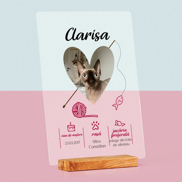 Fotografie Si Semnătură: Mâț Certificat De Naștere - Imprimare Pe Sticlă Acrilică (Verticală)