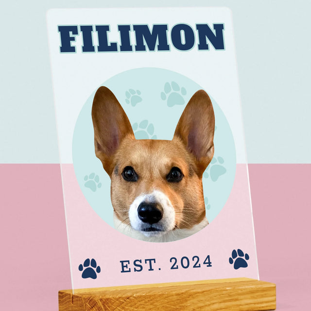 Personajul Tău: Câinele Tău Varsity - Imprimare Pe Sticlă Acrilică (Verticală)