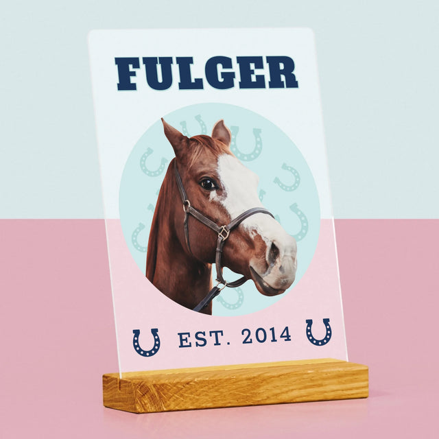 Personajul Tău: Calul Tău Varsity - Imprimare Pe Sticlă Acrilică (Verticală)