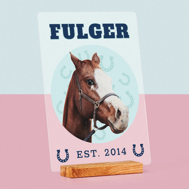 Personajul Tău: Calul Tău Varsity - Imprimare Pe Sticlă Acrilică (Verticală)