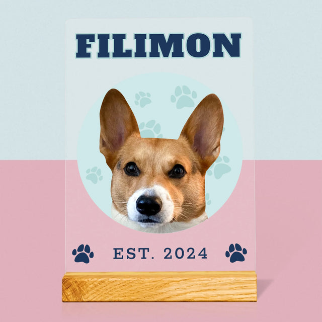 Personajul Tău: Câinele Tău Varsity - Imprimare Pe Sticlă Acrilică (Verticală)