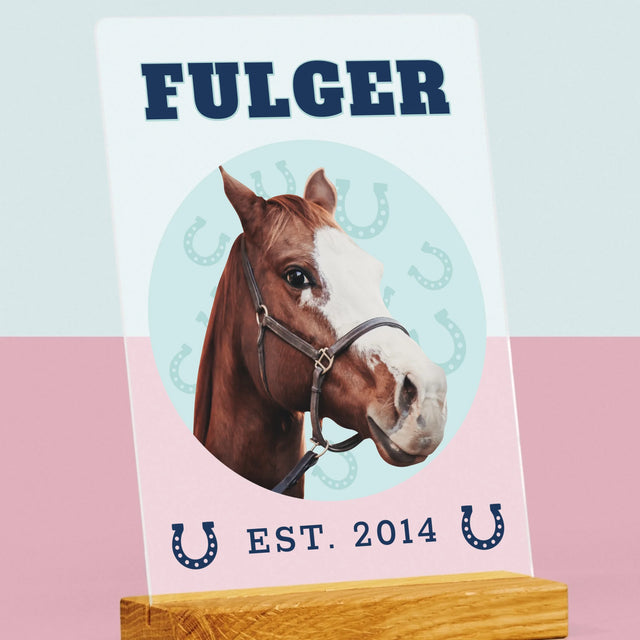 Personajul Tău: Calul Tău Varsity - Imprimare Pe Sticlă Acrilică (Verticală)