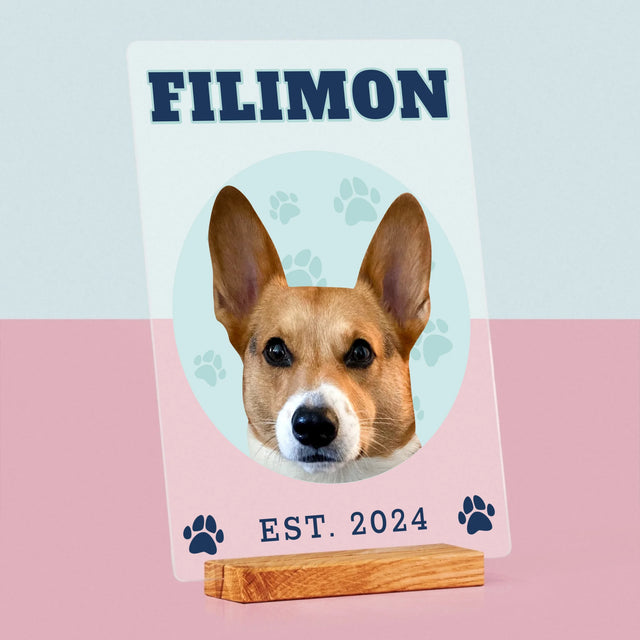 Personajul Tău: Câinele Tău Varsity - Imprimare Pe Sticlă Acrilică (Verticală)