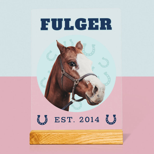 Personajul Tău: Calul Tău Varsity - Imprimare Pe Sticlă Acrilică (Verticală)