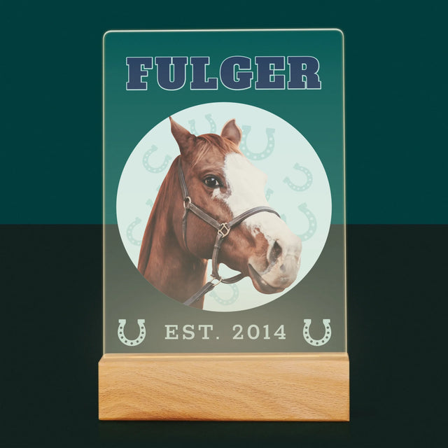 Personajul Tău: Calul Tău Varsity - Imprimare Pe Sticlă Acrilică (Verticală)