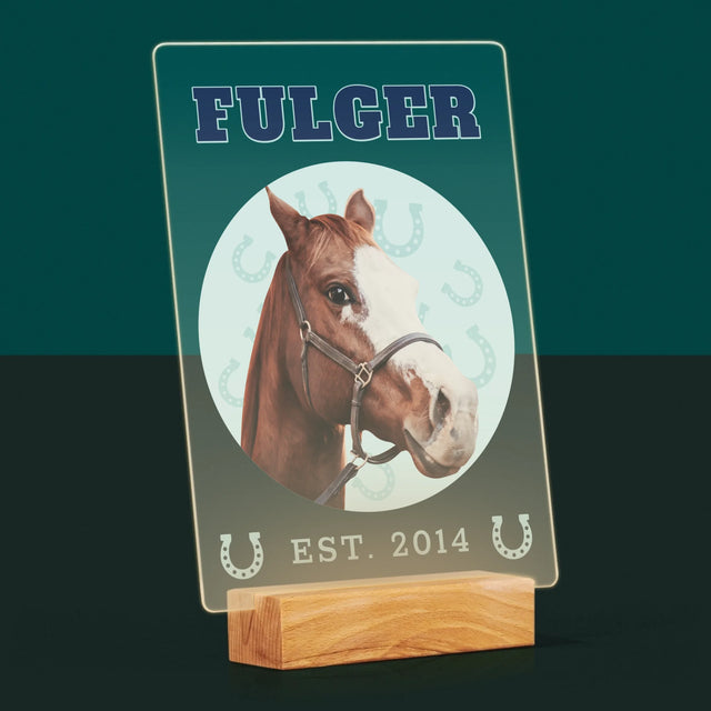 Personajul Tău: Calul Tău Varsity - Imprimare Pe Sticlă Acrilică (Verticală)