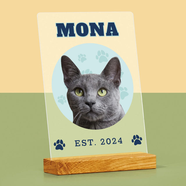 Personajul Tău: Mâțul Tău Varsity - Imprimare Pe Sticlă Acrilică (Verticală)