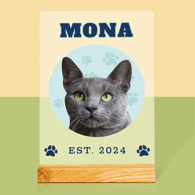 Personajul Tău: Mâțul Tău Varsity - Imprimare Pe Sticlă Acrilică (Verticală)