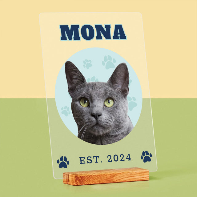 Personajul Tău: Mâțul Tău Varsity - Imprimare Pe Sticlă Acrilică (Verticală)