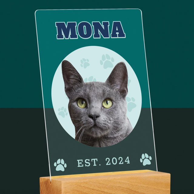 Personajul Tău: Mâțul Tău Varsity - Imprimare Pe Sticlă Acrilică (Verticală)