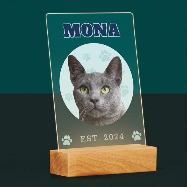 Personajul Tău: Mâțul Tău Varsity - Imprimare Pe Sticlă Acrilică (Verticală)