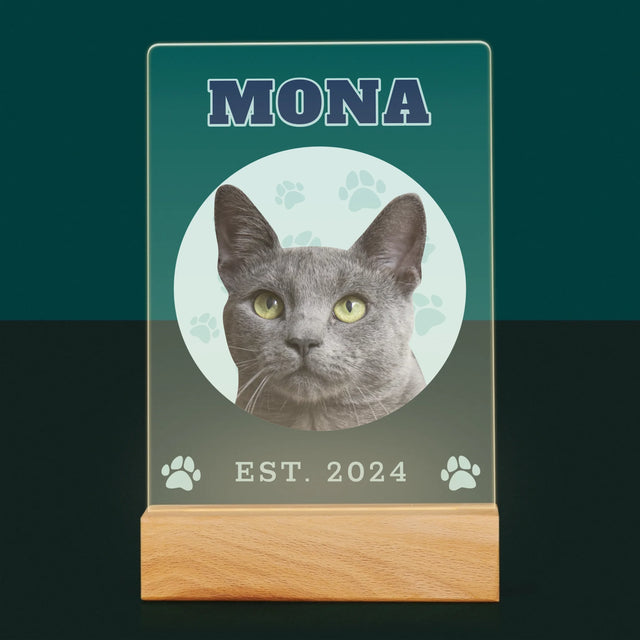 Personajul Tău: Mâțul Tău Varsity - Imprimare Pe Sticlă Acrilică (Verticală)