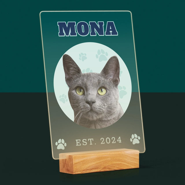 Personajul Tău: Mâțul Tău Varsity - Imprimare Pe Sticlă Acrilică (Verticală)